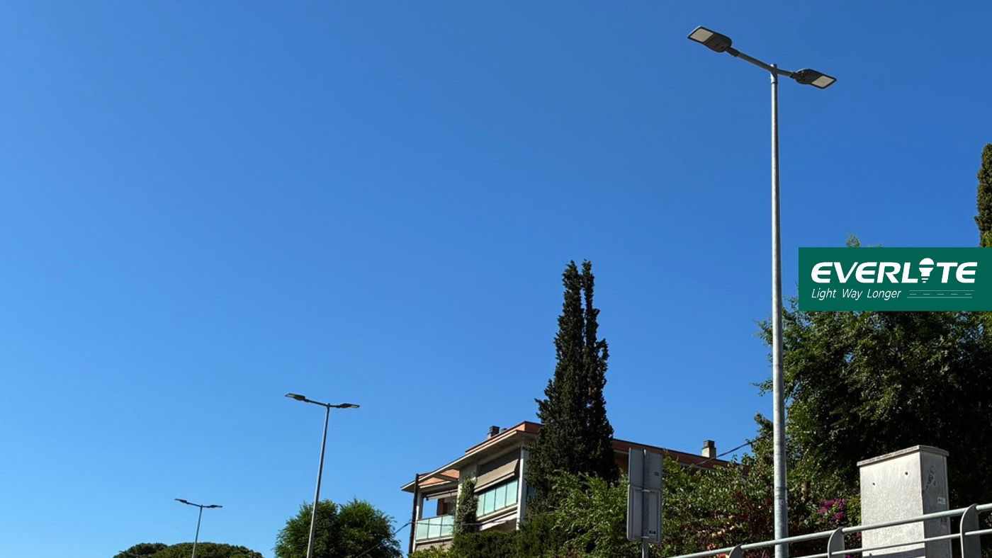 Her Sokak Gururumuzu Taşıyor